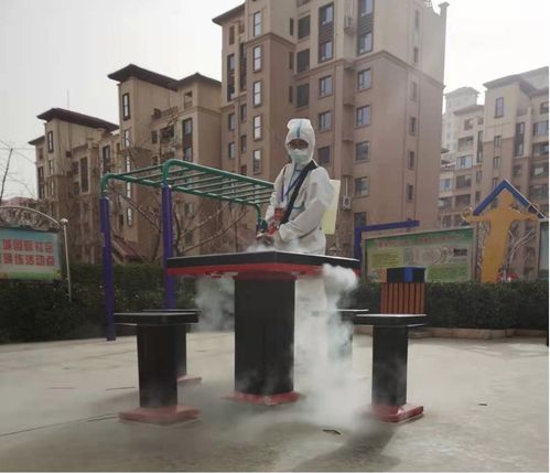 12.8噸蔬菜捐贈給石家莊20個小區