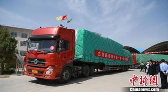 甘肅對 '一帶一路' 沿線國家貿(mào)易額大幅增長，運輸通道作用凸顯